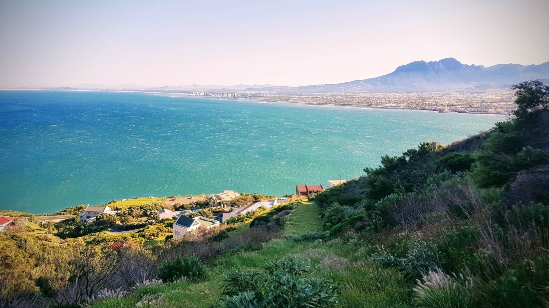 20181007_080957-effects