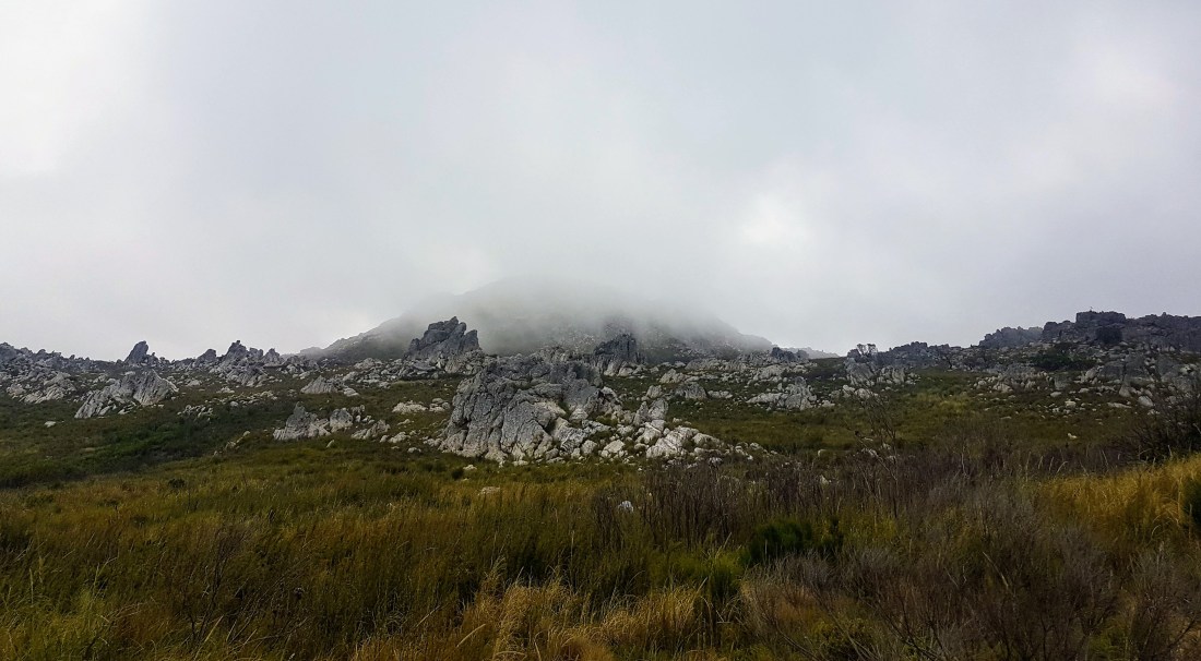 20181202_080347 (2).jpg